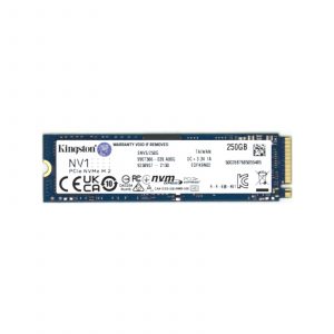 Kingston NV2 250GB M.2 2280 NVMe Solid State Drive (SNV2S/250G)